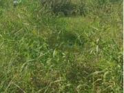 Terreno / Lote para Venda em Niterói/RJ Serra Grande