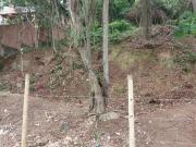 Terreno / Lote para Venda em Niterói/RJ Serra Grande