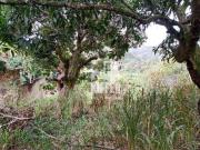 Terreno / Lote para Venda em Niterói/RJ Várzea das Moças