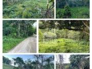 Terreno / Lote para Venda em Niterói/RJ Vila Progresso Terreno / Lote para Venda em Niterói/RJ Vila Progresso