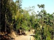 Terreno / Lote para Venda em Niterói/RJ Vila Progresso