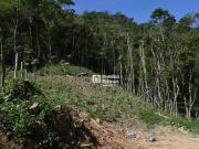 Terreno / Lote para Venda em Nova Friburgo/RJ São Pedro...