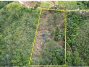 Terreno / Lote para Venda em Nova Lima/MG Conde