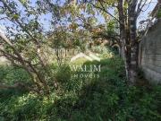 Terreno / Lote para Venda em Nova Lima/MG Fazenda do Benito