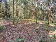 Terreno / Lote para Venda em Nova Lima/MG Jardim Petrópolis