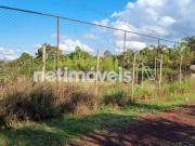 Terreno / Lote para Venda em Nova Lima/MG Lagoa do Miguelão
