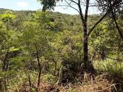 Terreno / Lote para Venda em Nova Lima/MG São Sebastião...