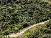 Terreno / Lote para Venda em Nova Lima/MG Vila Castela...