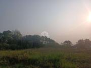 Terreno / Lote para Venda em Nova Petrópolis/RS Treze...