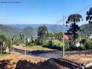 Terreno / Lote para Venda em Nova Petrópolis/RS Vila Olinda