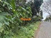 Terreno / Lote para Venda em Novo Hamburgo/RS Boa Vista