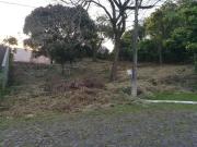 Terreno / Lote para Venda em Novo Hamburgo/RS Boa Vista