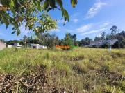 Terreno / Lote para Venda em Novo Hamburgo/RS Canudos