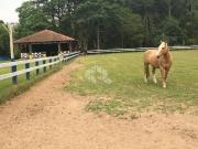 Terreno / Lote para Venda em Novo Hamburgo/RS Lomba Grande