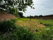 Terreno / Lote para Venda em Novo Hamburgo/RS São Jorge