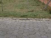 Terreno / Lote para Venda em Palhoça/SC Aririú da Formiga