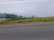Terreno / Lote para Venda em Palhoça/SC Bela Vista