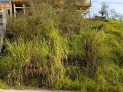 Terreno / Lote para Venda em Palhoça/SC Bela Vista