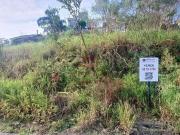 Terreno / Lote para Venda em Palhoça/SC Cidade...