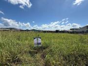 Terreno / Lote para Venda em Palhoça/SC Guarda do Cubatão