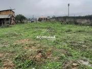 Terreno / Lote para Venda em Palhoça/SC Nova Palhoça