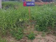 Terreno / Lote para Venda em Palhoça/SC Pedra Branca