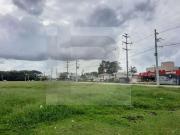 Terreno / Lote para Venda em Palhoça/SC Pedra Branca