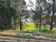 Terreno / Lote para Venda em Palhoça/SC Pedra Branca
