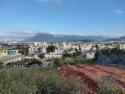 Terreno / Lote para Venda em Palhoça/SC Pedra Branca