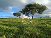 Terreno / Lote para Venda em Passa Tempo/MG Zona Rural