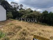 Terreno / Lote para Venda em Pato Branco/PR Alvorada
