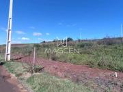 Terreno / Lote para Venda em Pato Branco/PR Jardim das...
