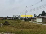 Terreno / Lote para Venda em Pelotas/RS Três Vendas