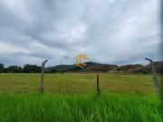 Terreno / Lote para Venda em Peruíbe/SP Centro