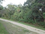 Terreno / Lote para Venda em Peruíbe/SP Guaraú