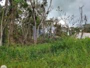 Terreno / Lote para Venda em Peruíbe/SP Jardim Marcia II
