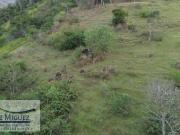 Terreno / Lote para Venda em Petrópolis/RJ Araras