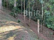 Terreno / Lote para Venda em Petrópolis/RJ Araras