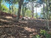 Terreno / Lote para Venda em Petrópolis/RJ Bonsucesso