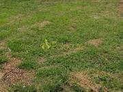 Terreno / Lote para Venda em Pindamonhangaba/SP Azeredo