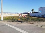 Terreno / Lote para Venda em Pindamonhangaba/SP César Park