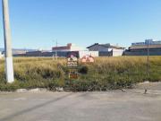 Terreno / Lote para Venda em Pindamonhangaba/SP César Park
