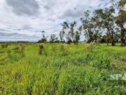 Terreno / Lote para Venda em Pindamonhangaba/SP Mandú