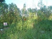 Terreno / Lote para Venda em Pindamonhangaba/SP Parque...