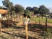 Terreno / Lote para Venda em Pindamonhangaba/SP Parque...