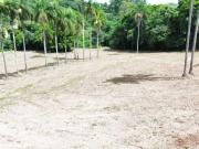 Terreno / Lote para Venda em Pinhalzinho/SP Areal