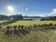 Terreno / Lote para Venda em Piracaia/SP Ponta das...