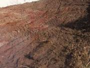 Terreno / Lote para Venda em Piracicaba/SP Campestre