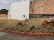 Terreno / Lote para Venda em Piracicaba/SP Jardim Diamante