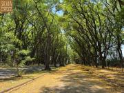 Terreno / Lote para Venda em Piracicaba/SP Nova Piracicaba